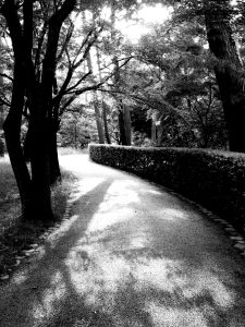 pic20140508-170657-0